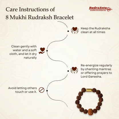 Nepali 8 Mukhi Rudraksha Magsnap Bracelet