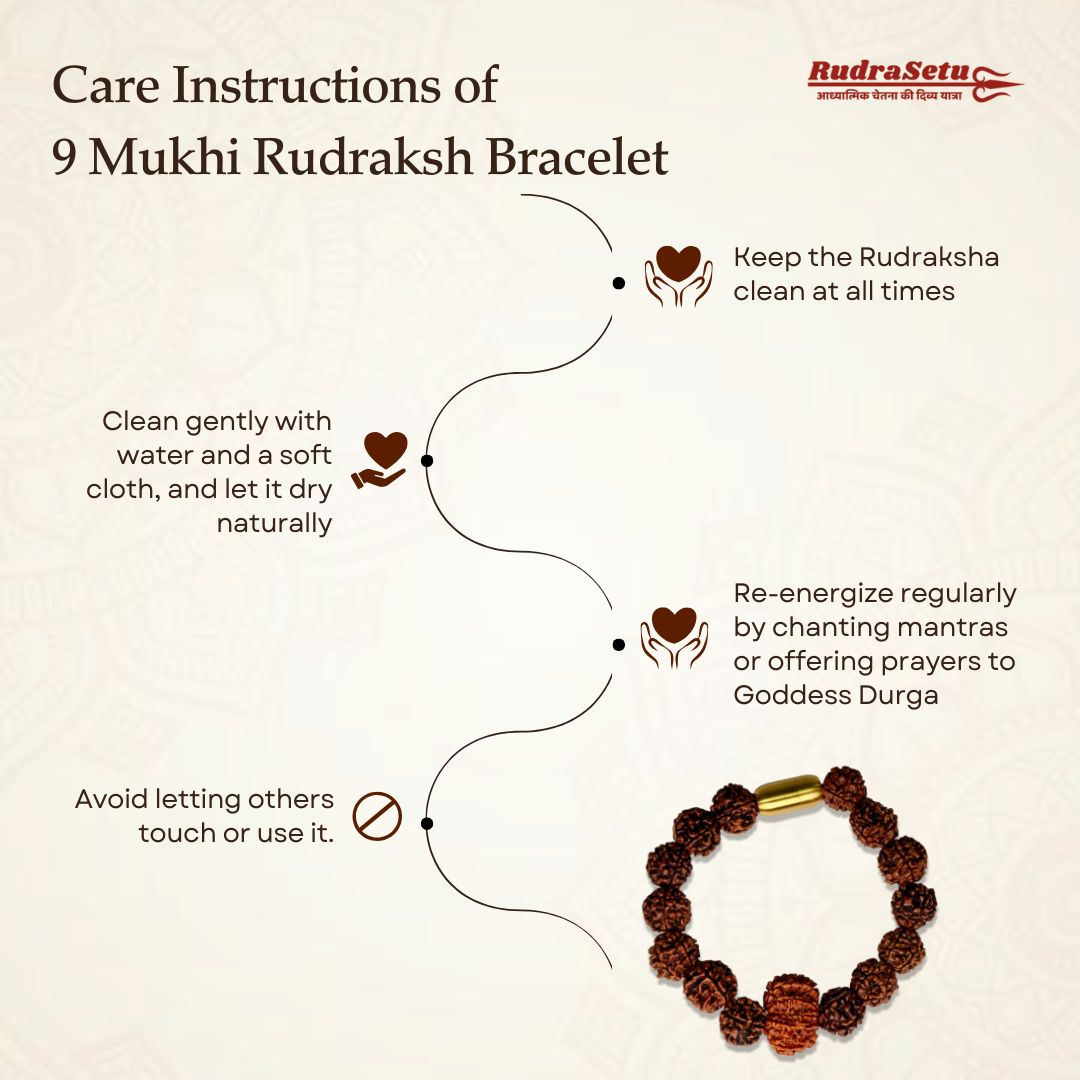 Nepali 9 Mukhi Rudraksha Magsnap Bracelet