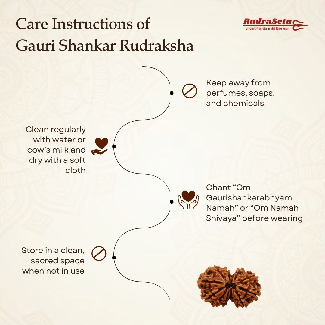 Nepali Gauri Shankar Rudraksha | Asli Gauri Shankar