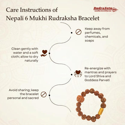 Nepali 6 Mukhi Rudraksha Magsnap Bracelet