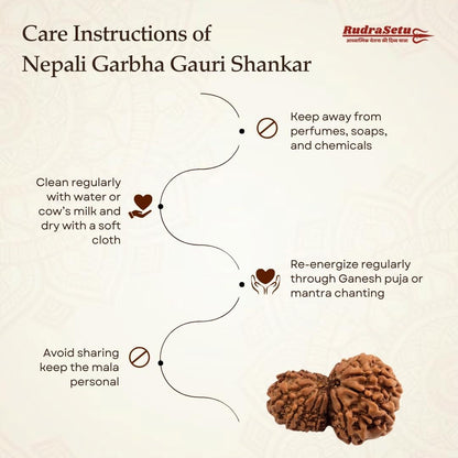 Nepali Garbha Gauri Rudraksha | Asli Garbh Gauri