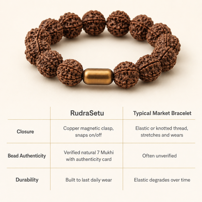 Premium 7-Mukhi Rudraksha Magsnap Bracelet - All 7-Mukhi Beads
