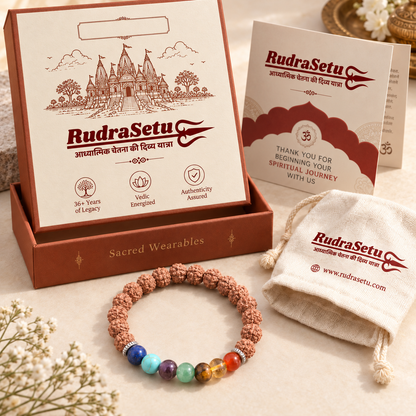 7 Chakra + Rudraksha Elastic Bracelet