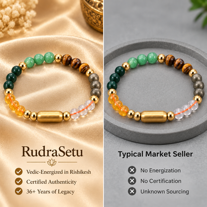 Money Magnet MagSnap Bracelet