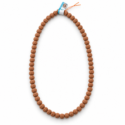 7-Mukhi Rudraksha Mala (Indonesian)