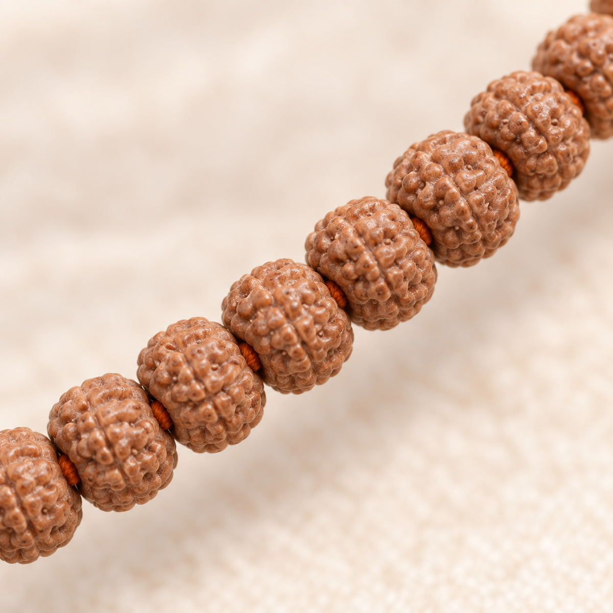 7-Mukhi Rudraksha Mala (Indonesian)