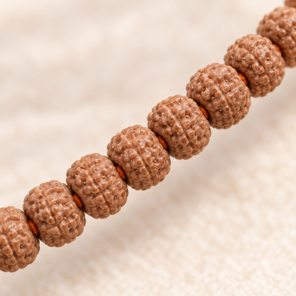 7-Mukhi Rudraksha Mala (Indonesian)