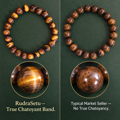 Tiger-Eye Elastic Bracelet