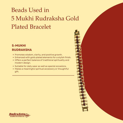 Classic Gold Plated Rudraksha Bracelet