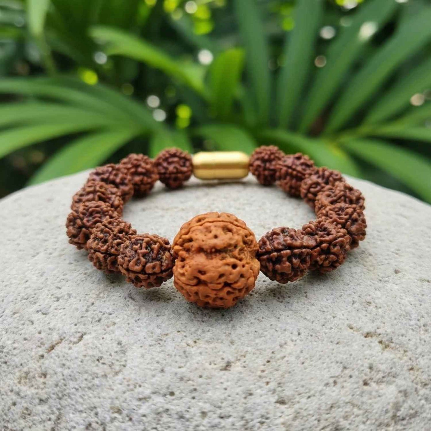 Nepali 4 Mukhi Rudraksha Magsnap Bracelet