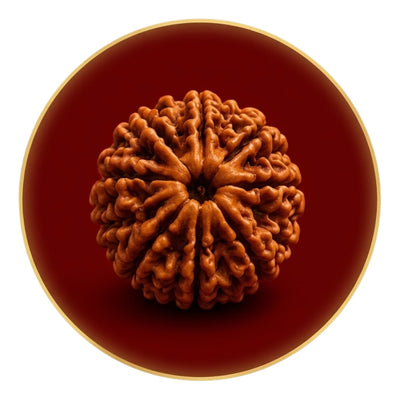 Rudraksha Beads