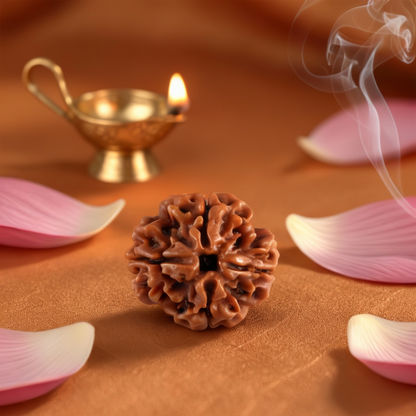 Nepali 4 Mukhi Rudraksha | Asli Char Mukhi