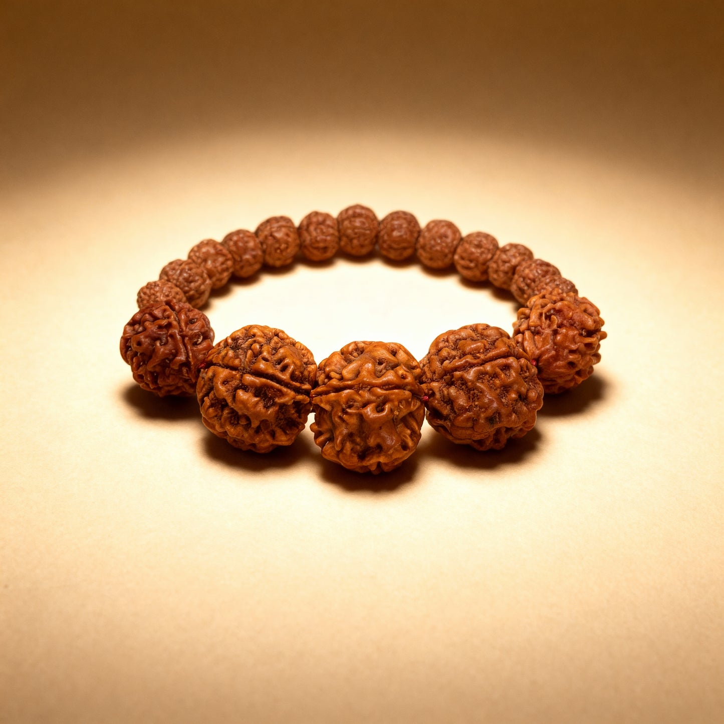 Swasthya Bracelet (3-5-5-5-3 Mukhis)