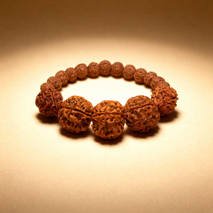 Swasthya Bracelet (3-5-5-5-3 Mukhis)