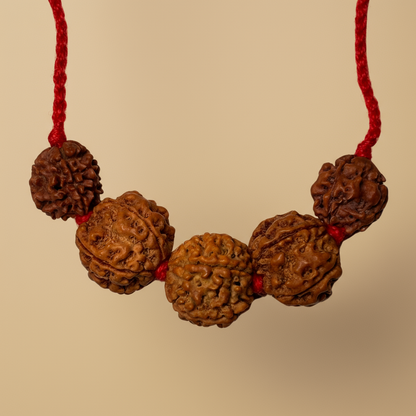 Swasthya Mala (3-5-5-5-3 Mukhis)