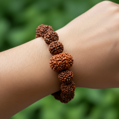 Nepali 12 Mukhi Rudraksha Magsnap Bracelet