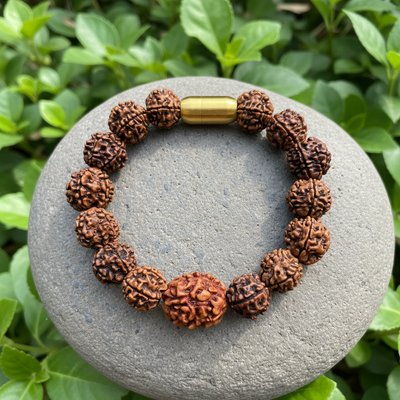 Indian 2 Mukhi Rudraksh Bracelet | Natural & Lab Certified | For Family Bonding & Peaceful Relationships